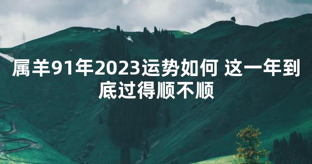 属羊91年2023运势如何 这一年到底过得顺不顺